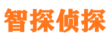 仪征侦探公司